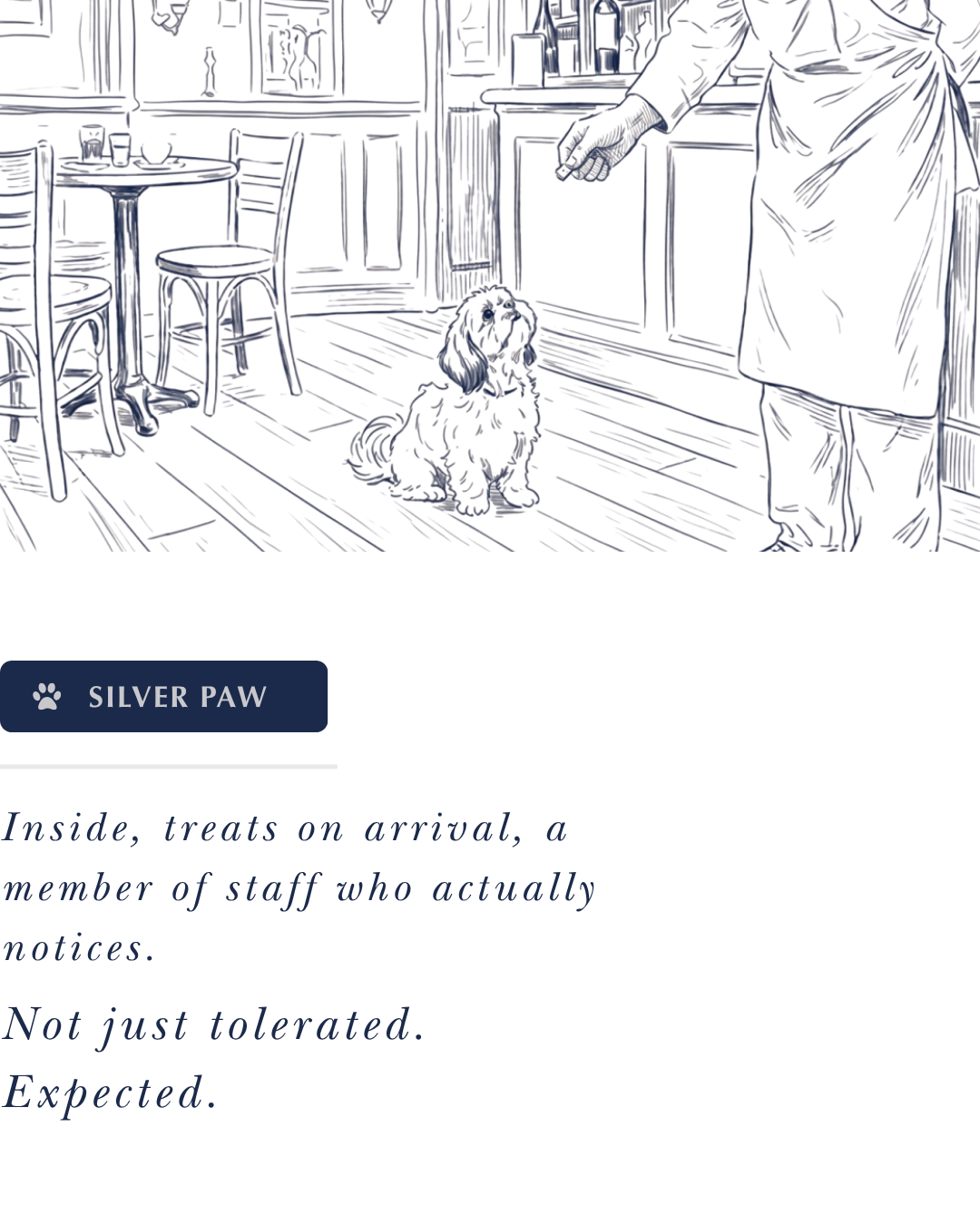 Silver — dogs genuinely welcomed