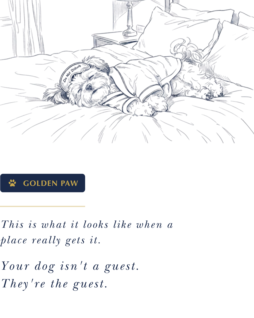 Bronze — dogs are welcomed
