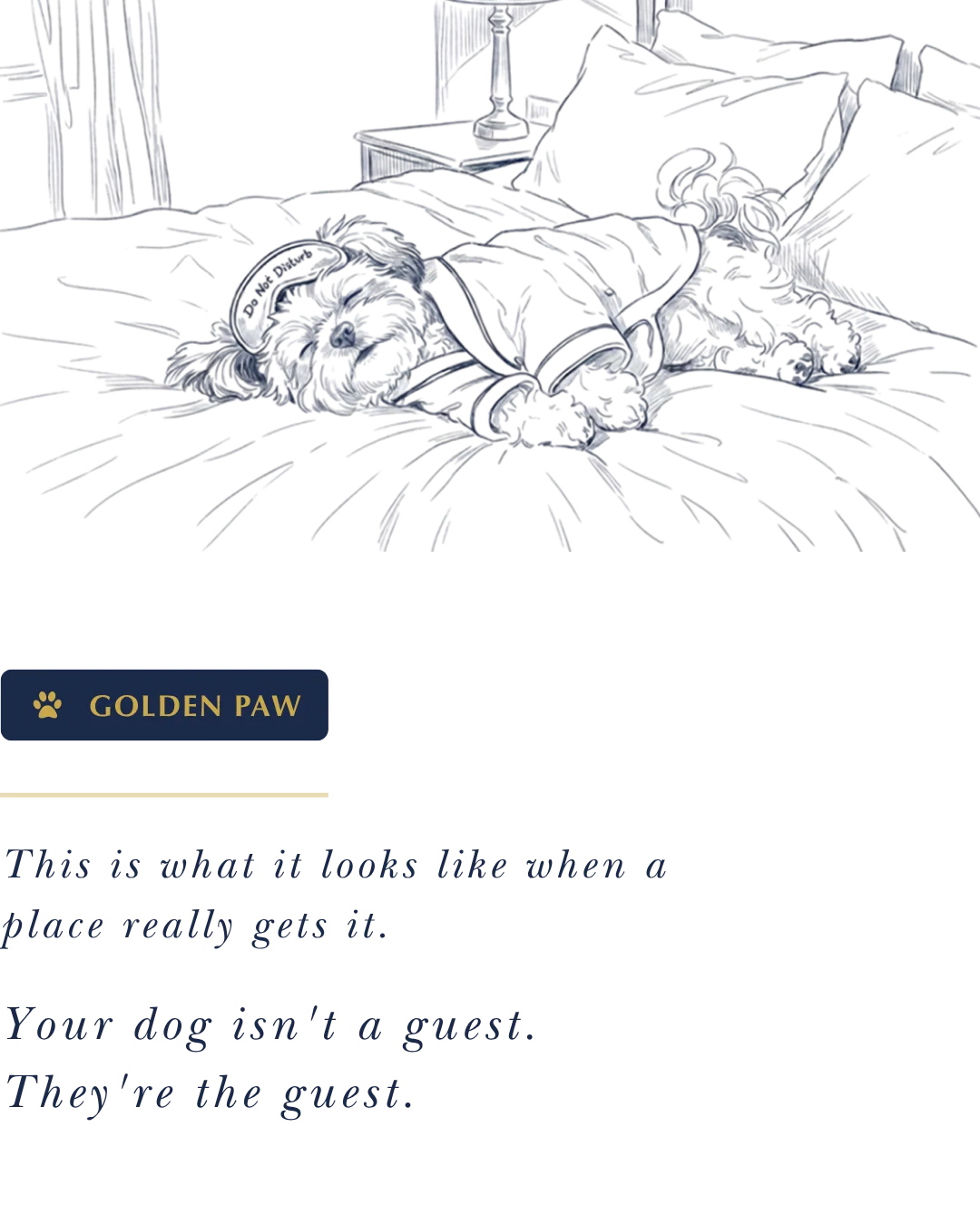 Golden Paw — our highest rating