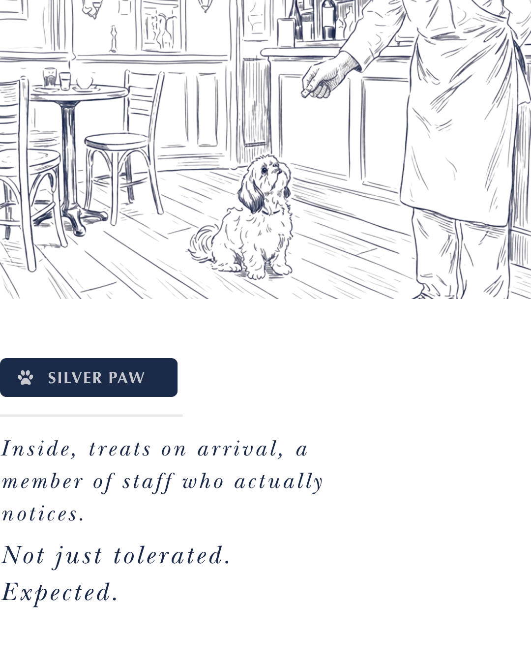Silver — dogs genuinely welcomed